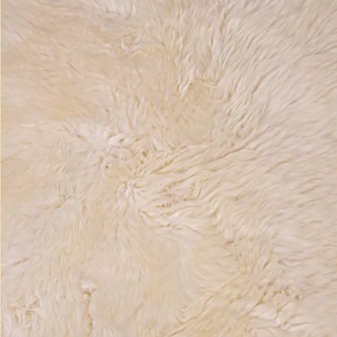Engelse Schapenvacht, Ivoor 5 Engelse Schapenvacht, Ivoor - Afbeelding 3