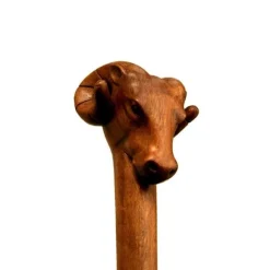 Houten Wandelstok Met Ramskop