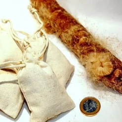 Lisdodde Tondel 7 Lisdodde Tondel -Historisch Koken Verkoop 2023 lisdodde tondel 2