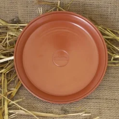 Romeins Terra Sigillata Bord