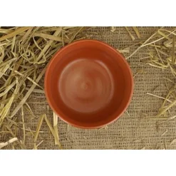 Romeinse Kom Met Graanmotieven (terra Sigillata) 5 Romeinse Kom Met Graanmotieven (terra Sigillata) -Historisch Koken Verkoop 2023 romeinse kom met graanmotieven terra sigillata 1