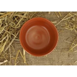 Romeinse Reliëfschaal (terra Sigillata) (2de-3de Eeuw N.Chr.) -Historisch Koken Verkoop 2023 romeinse reliefschaal terra sigillata 2de 3de eeuw 1